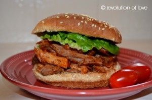 Revolution of Love - Slow Cooker Pulled Pork - pp_pork_5