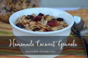 Revolution of Love - Homemade Coconut Granola (pp_granola_6)