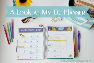 RevolutionofLove.com - A look at my EC Planner (2015-16)(logo_planner_16_A)