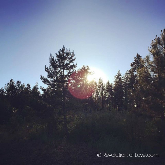 RevolutionofLove.com - Lake Tahoe 2016 - cwa_6_20_16_walk_3