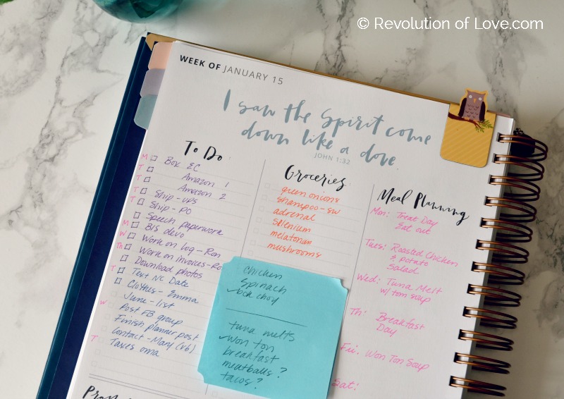 © RevolutionofLove.com -planner_bujo_jan_17_z