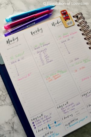 How I Use a (Blessed Is She) Planner and a Bullet Journal | Revolution ...